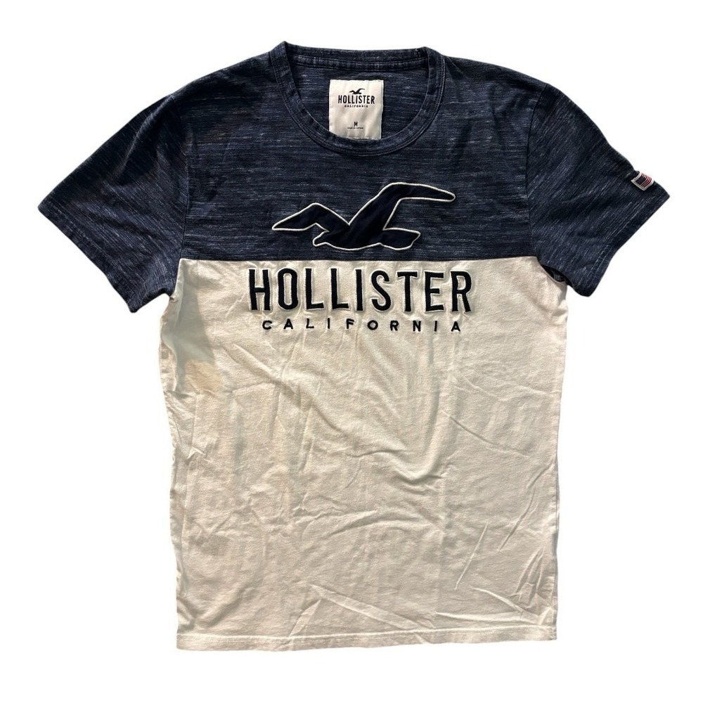 Hollister California Large Seagull Logo T Shirt Mens M Blue White Colorblock Tee